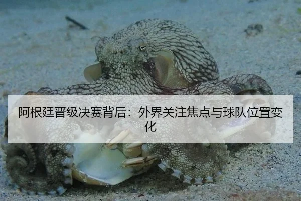 阿根廷晋级决赛背后：外界关注焦点与球队位置变化