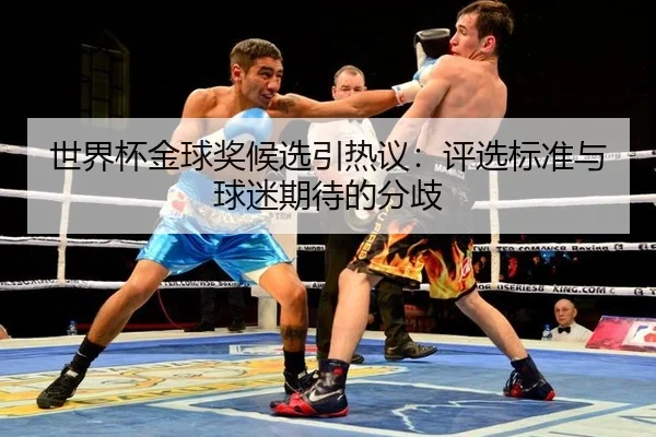 shi-jie-bei-jin-qiu-jiang-hou-xuan-yin-re-yi-ping-xuan-biao-zhun-yu-qiu-mi-qi-dai-de-fen-qi-2-602.jpg